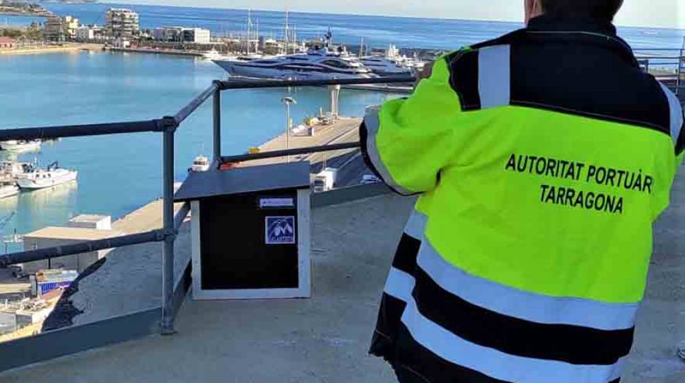 El Port de Tarragona busca recuperar el halc&oacute;n peregrino en el recinto portuario