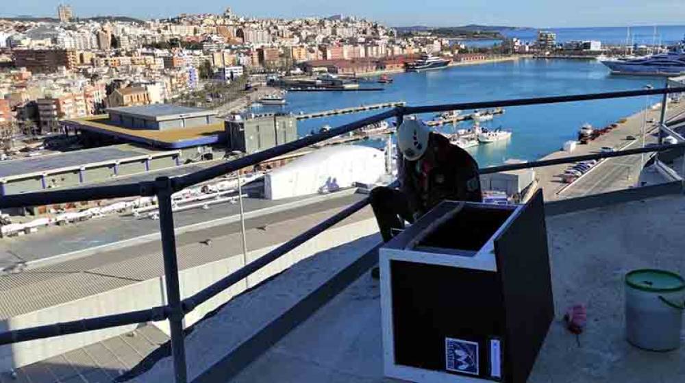 El Port de Tarragona busca recuperar el halc&oacute;n peregrino en el recinto portuario