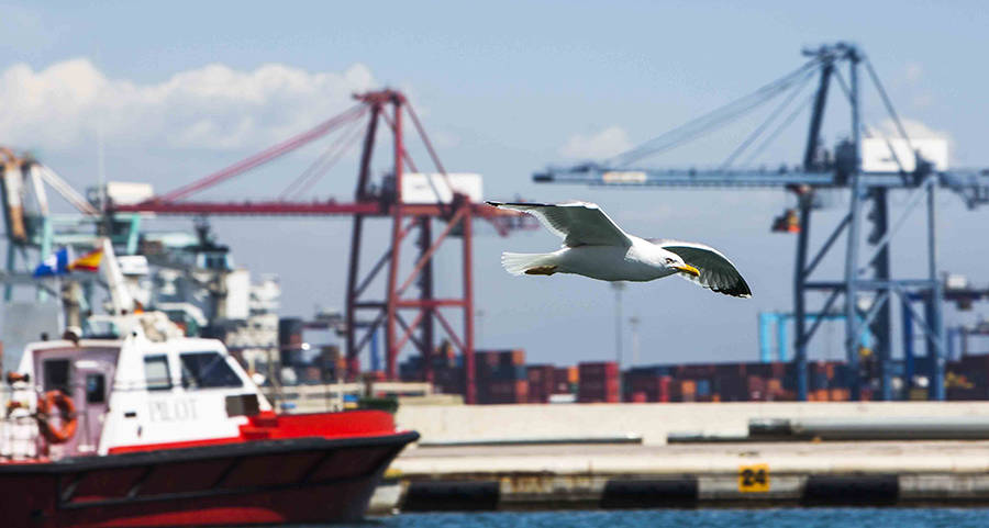 Valenciaport, el puerto m&aacute;s inteligente del Sistema Portuario Espa&ntilde;ol seg&uacute;n el CEDEX