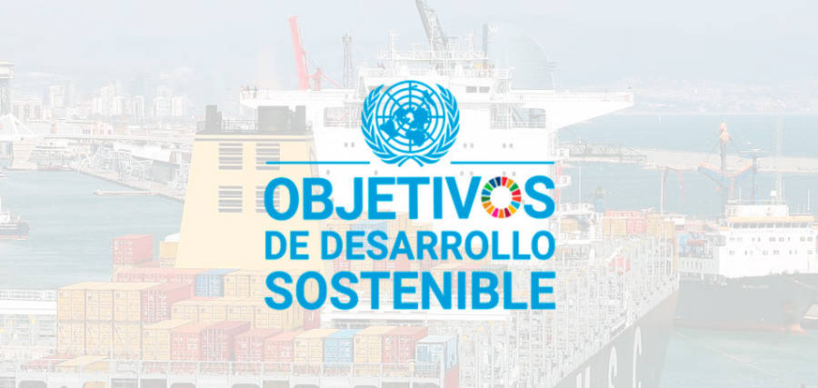 Alineaci&oacute;n con los Objetivos de Desarrollo Sostenible (ODS)