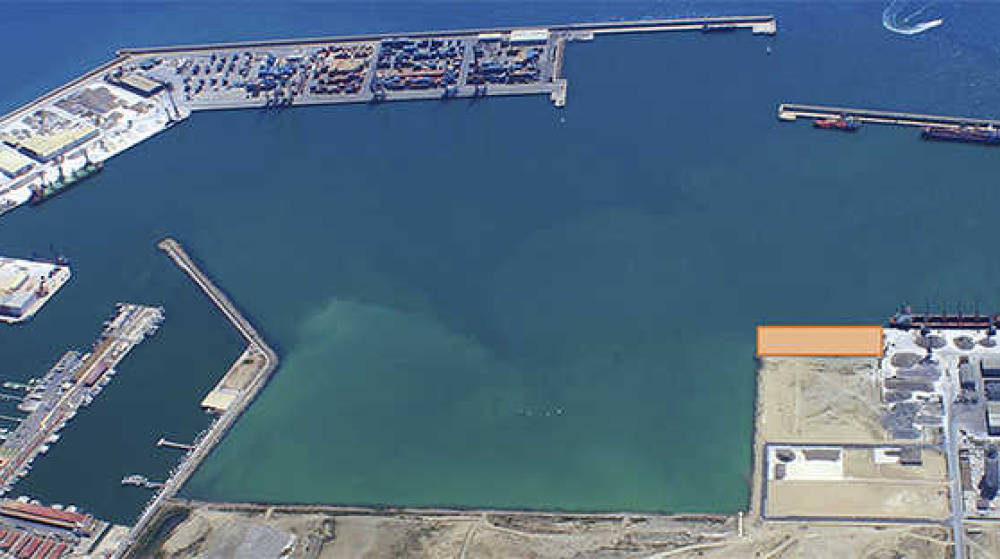 Portsur espera tener operativa su terminal dedicada con 720 metros de atraque en 2020