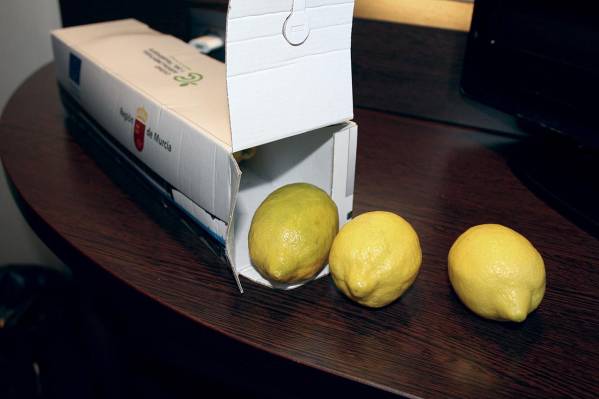 $!SI NO HAY MANZANAS, LIMONES. Alguien lo definió como “el mejor regalo que me han hecho nunca en una feria”. Es la esencia de gran parte del transporte de Murcia, y así lo ha reflejado la Región con este camión y sus limones de obsequio para todos los participantes en el SIL.