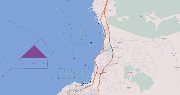 $!Tal y como recoge Vesselfinder, numerosos buques esperan en la zona de fondeo del Puerto de Iskenderun.