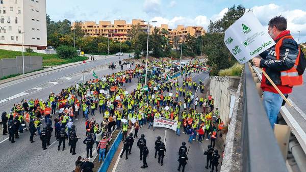 $!En la imagen, vista parcial de la manifestación en el entorno del Puerto de Algeciras.