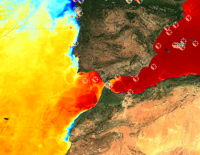 Puertos del Estado registra temperaturas récord en el agua