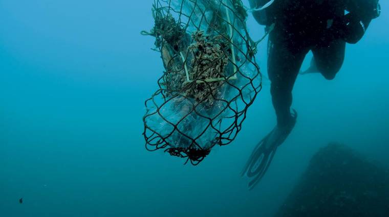 60 voluntarios, entre buceadores certificados y personal en tierra, han trabajado juntos para retirar 60 Kg de residuos del entorno marino y costero.