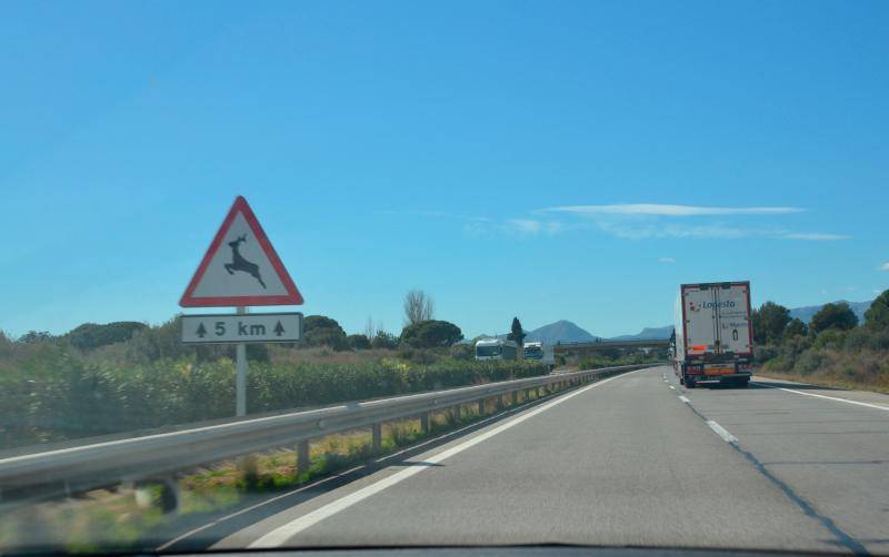 “Profundo rechazo” de los transportistas a la prohibición de circulación para los camiones los domingos en la AP-7