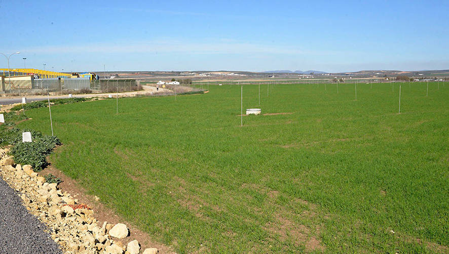 Parcela en la que se levantar&aacute; el nudo log&iacute;stico de Antequera.