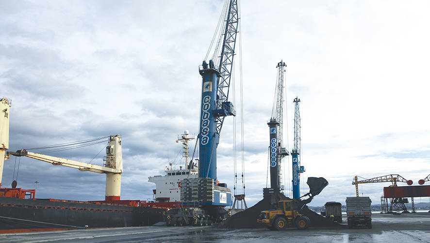 Cobasa refuerza la competitividad del Puerto de Santander con una nueva gr&uacute;a m&oacute;vil Liebherr