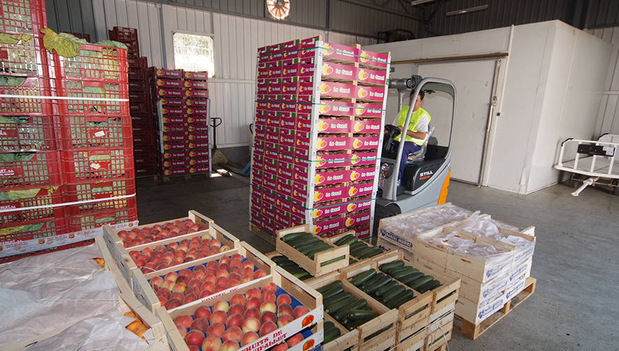 Mercabarna entrega más de 300.000 kg de alimentos al Banco de los Alimentos y la Cruz Roja, desde el inicio del confinamiento.