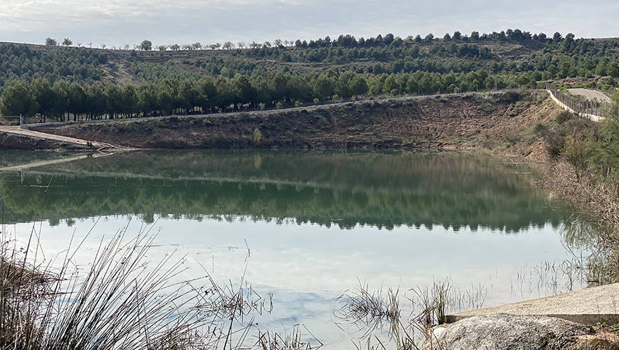 Arnedo prev&eacute; comprar 50 hect&aacute;reas para la plantaci&oacute;n de &aacute;rboles en su entorno log&iacute;stico