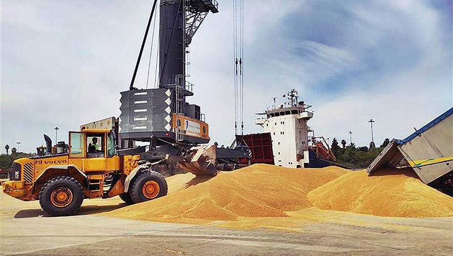 Estibadora Sevillana ofrece servicios completos como operador log&iacute;stico y portuario.