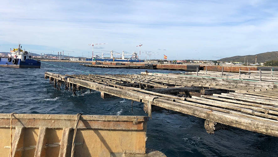 La AP Bah&iacute;a de Algeciras concluye la retirada de bateas de la Ensenada de Getares