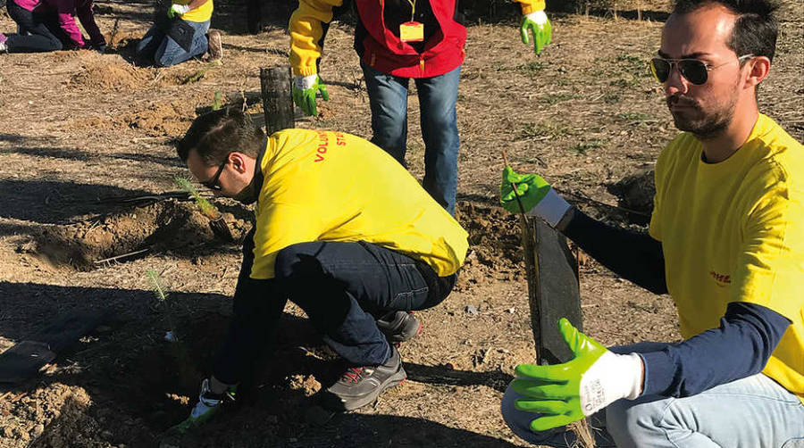 Voluntarios de DHL plantando &aacute;rboles en el Distrito de Villaverde.