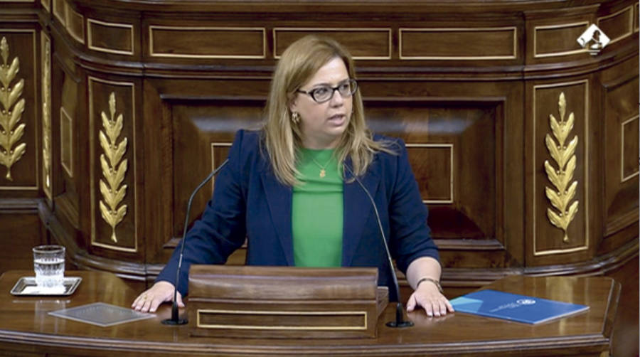 Elena Castillo, diputada del PP, ayer durante su intervenci&oacute;n en el Pleno del Congreso.