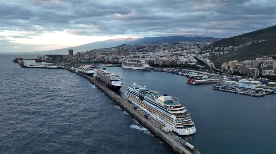 Puertos de Tenerife supera la media estatal en 15 tráficos portuarios