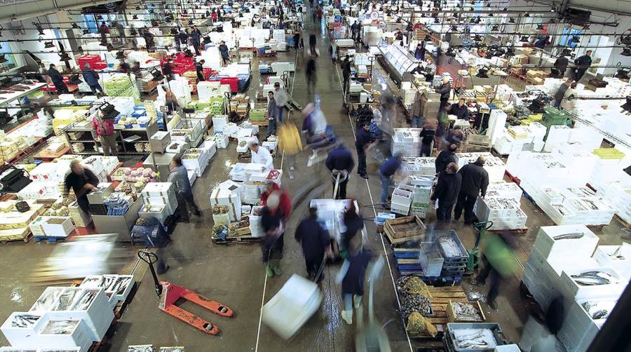 Mercabarna y el Gremio de Mayoristas del Pescado mostrarán las novedades del sector en Seafood Barcelona.