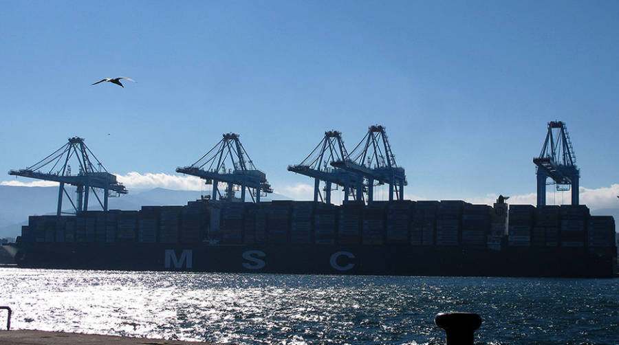 El gigante &quot;MSC Istanbul&quot; se estrena en Algeciras