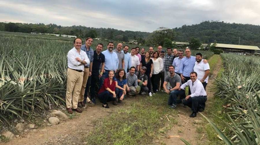 La delegaci&oacute;n de la APBA visit&oacute; los campos de las principales empresas de pi&ntilde;a y banana.