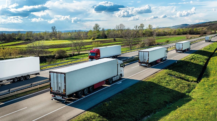 <b>El transporte frigorífico por carretera pide desterrar el intercambio de palés</b>