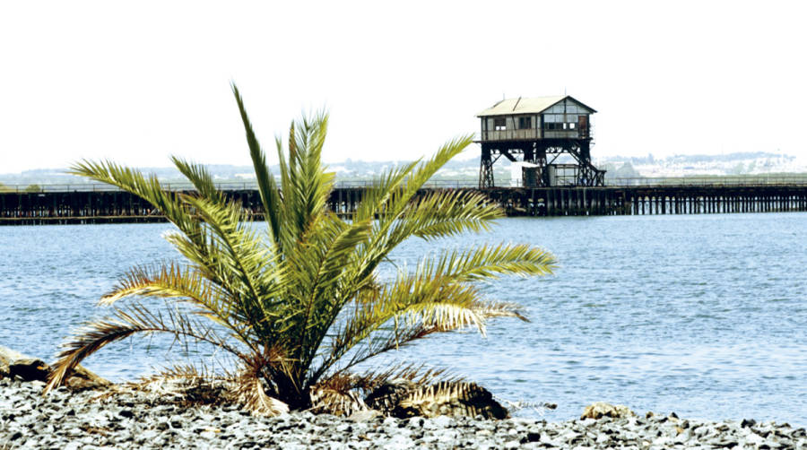 La APH ha sacado a licitaci&oacute;n las obras del proyecto de rehabilitaci&oacute;n del Muelle de Tharsis.