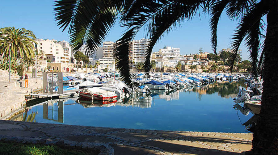 El puerto que m&aacute;s renovaciones telem&aacute;ticas ha llevado a cabo ha sido el de Alc&uacute;dia.