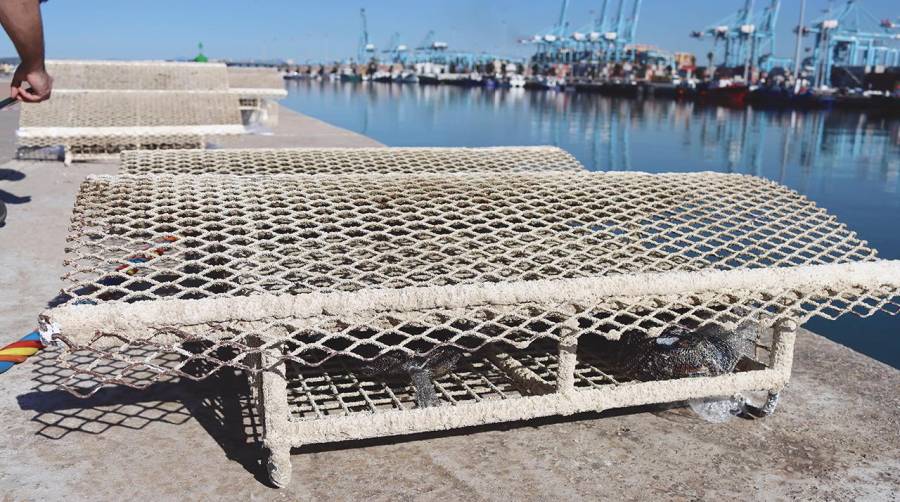 Las estructuras se han colocado en el muelle del Paseo Marítimo de Ribera en el Llano Amarillo.