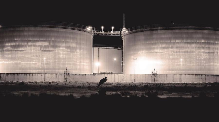 Antonio Benítez Barrios y Gabriella Barok ganan el I Concurso de Fotografía Ambiental del Puerto de Algeciras