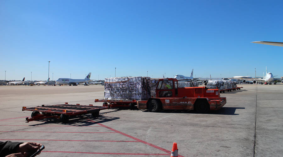 La carga a&eacute;rea creci&oacute; en Espa&ntilde;a un 5,6% en 2019&nbsp;