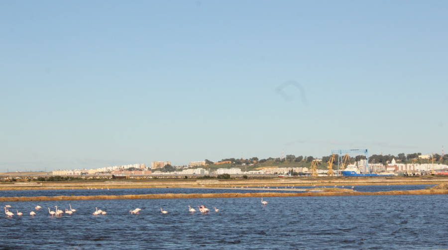 El Puerto de Huelva celebrar&aacute; las I Jornadas de Sostenibilidad Ambiental y Gesti&oacute;n Portuaria en octubre.