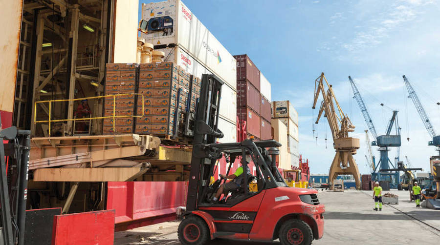 El descenso de los graneles l&iacute;quidos presiona a la baja los tr&aacute;ficos en el Port de Tarragona