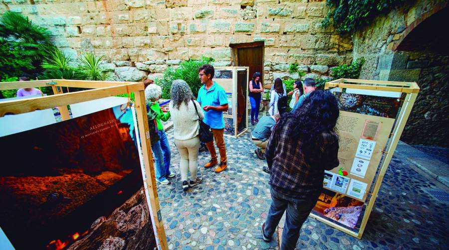 Dentro de las Jornadas se han organizado diversas actividades participativas, como talleres educativos y visitas guiadas, con el objetivo de sensibilizar a la ciudadanía sobre la importancia de proteger y fomentar la biodiversidad en los espacios portuarios.