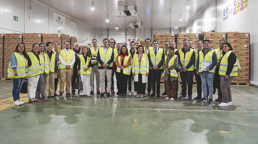 Los participantes visitaron diversas instalaciones del Puerto de Algeciras, como las de Americold.