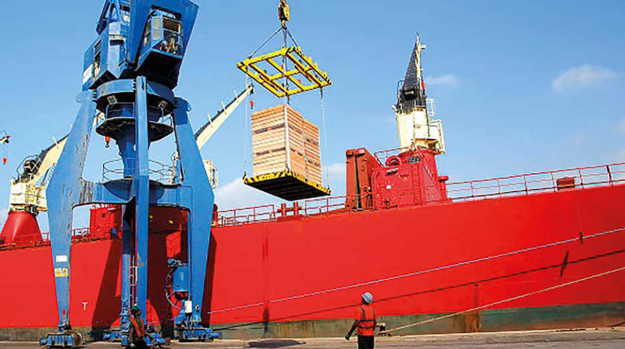 En lo que va de a&ntilde;o se han movido ya 15.000 toneladas de c&iacute;tricos en el Puerto de Cartagena.