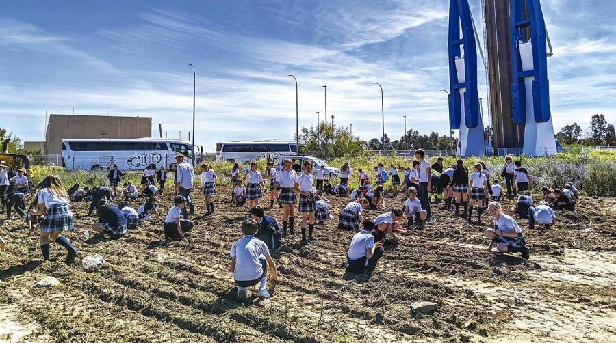 El terreno se sitúa en la punta del Verde, junto a la esclusa del Puerto de Sevilla.