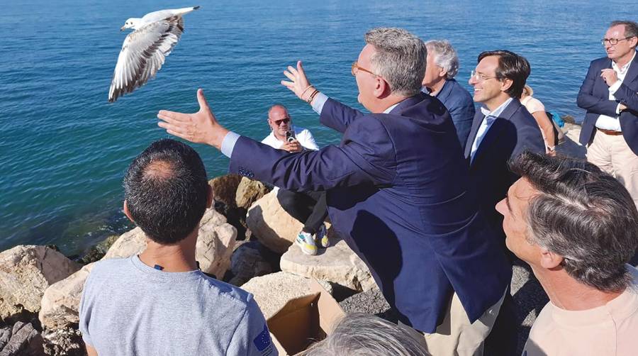 El conseller Vicente Martínez Mus, suelta la gaviota en presencia del presidente del Puerto de Alicante, Luis Rodríguez.