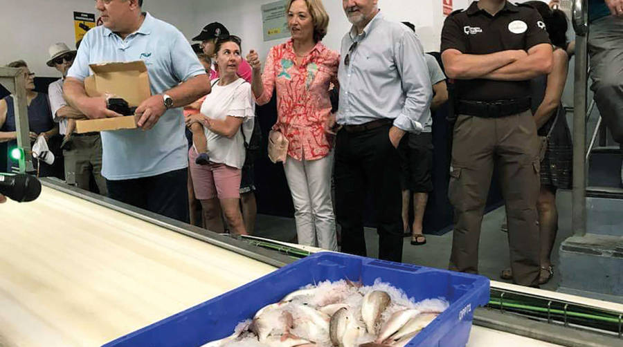 La lonja del puerto de Almer&iacute;a incrementa un 7,8% el pescado fresco desembarcado hasta septiembre