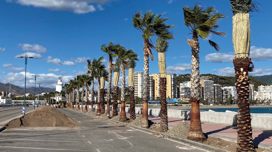 &ldquo;Es necesaria la interacci&oacute;n, m&aacute;xime en M&aacute;laga donde el puerto es abrazado por la ciudad&rdquo;