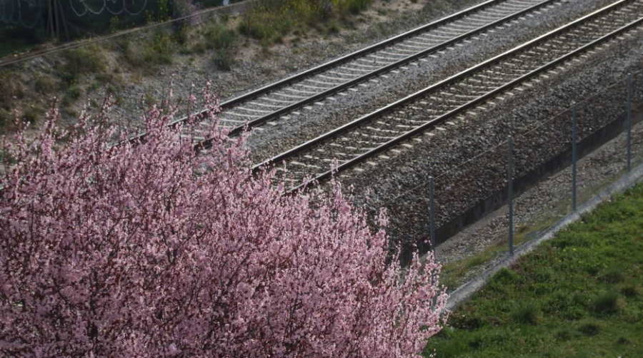 La Ley del Sector Ferroviario suprimir&aacute; el canon de acceso y aplicar&aacute; bonificaciones