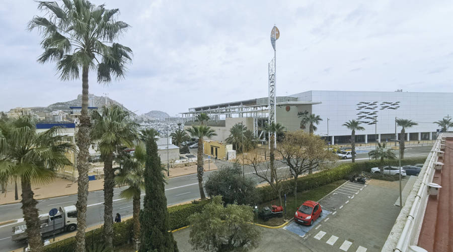 El Consejo de la AP de Alicante confirma la dedicaci&oacute;n de una avenida a Perfecto Palacio