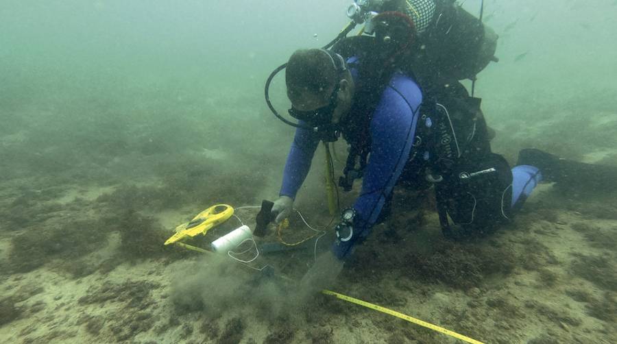 Los trabajos se desarrollan desde el pasado mes de mayo en aguas murcianas.