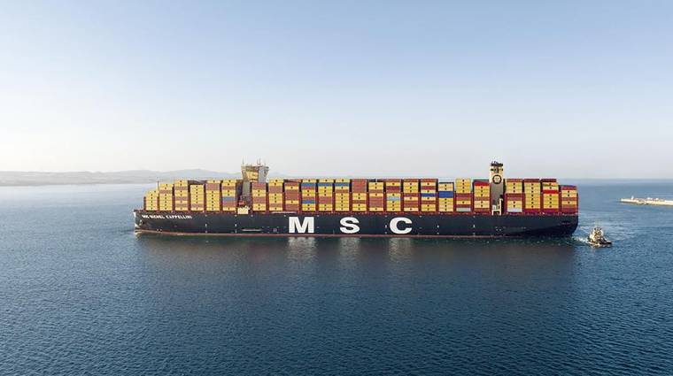 La flota de Mediterranean Shipping Company aumentó su capacidad en lo que va de año en 400.000 TEUs.